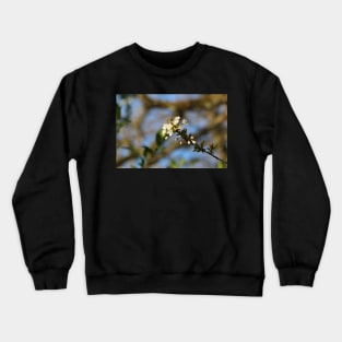 Blossoms Crewneck Sweatshirt